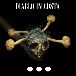 Diablo in Costa - Лучезарный