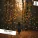dndm, Davvi - Leaves