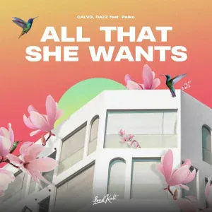 DAZZ, CALVO feat. Raïko - All That She Wants