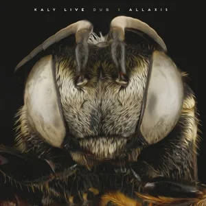 Kaly Live Dub feat. Learoy Green - Can I Make a Wish?