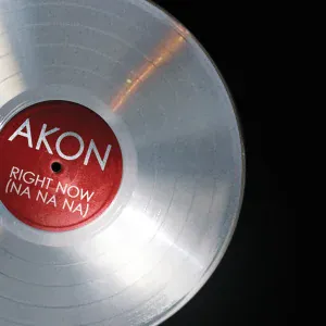 Akon feat. Lil Wayne, Young Jeezy - I'm So Paid