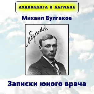Аудиокнига в кармане - Я убил