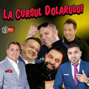 FLORIN SALAM - Vreau Sa Plang