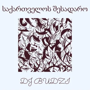 DJ BUDZI - საქართველოს შესადარო
