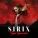 Sirix - Розы красные