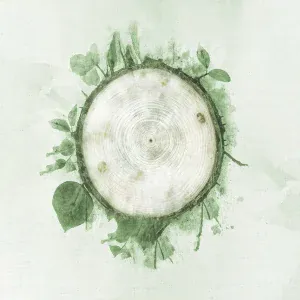 Andrea Vanzo - Rebirth