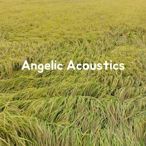 Angelic Acoustics - Angelic Acoustics