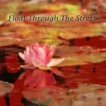 Spiritual Fitness Music - Soothing Adventure
