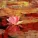 Spiritual Fitness Music - Soothing Adventure