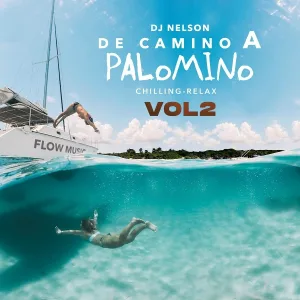 DJ Nelson, Nopy, Alejandro Armes - Hit Me Up