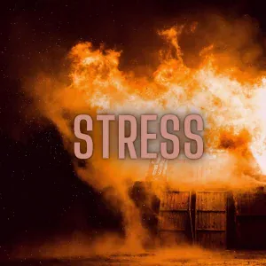 Kingside - Stress