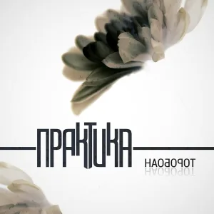 Практика - Он он он