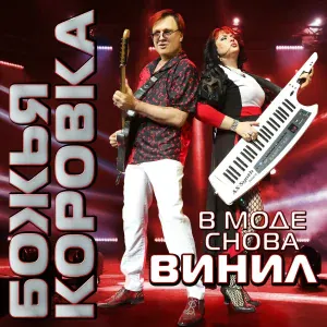 Божья коровка - Гранитный камушек