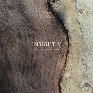 Julien Marchal - Insight XLIX
