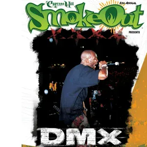 DMX - The Rain