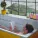 Tom Rosenthal - The Pleasure Was All Mine, Miguel