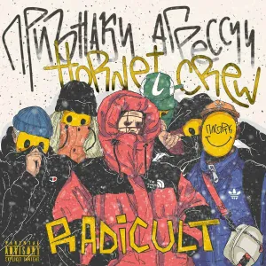 ПРИЗНАКИ АГРЕССИИ, HORNET CREW - Интро