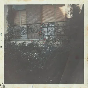 Oribu - Not Here
