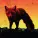 The Prodigy - Medicine