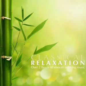 Antonio Vivaldi - The Four Seasons, Winter, Concerto in F minor: II. Largo