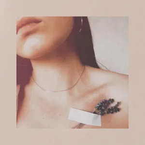 KES - В душе цветы