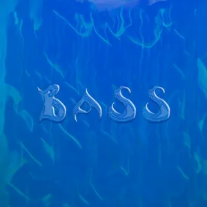 FLYNNANT - Bass