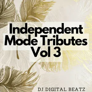DJ Digital Beatz - Trip (Tribute Version Originally Performed By Ella Mai)