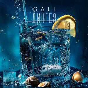 GALI - Дингез