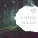 Natural Spirit, Nature Sounds - Nature Sounds - Amazing Bird Sounds