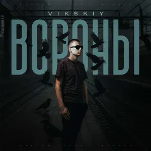 VikSkiy - Вороны