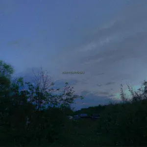 mislaid - DISTORTION