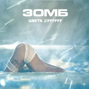 Зомб - Цвета #FFFFFF
