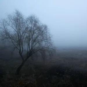 Ineedrest - Последняя осень