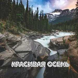 Сергей Грищук - ДВА ОКЕАНА