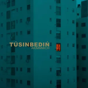 akimmmich - Túsіnbedіń