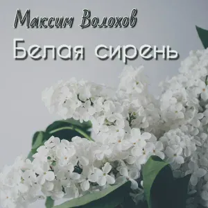 Максим Волохов - Сон о тебе