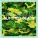 Dj Mad Man feat. Dj Riddim Bad - Wicked