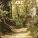 John Ron Carpenter - Without You