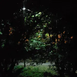 radiotehnika - одиночка