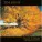 Tim Janis - Isles Of Shoals