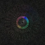 Trigg & Gusset - Coloroid