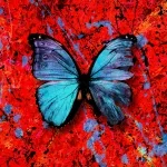Ed Sheeran - Visiting Hours