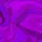 Lyamev - flow_mp3