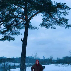 Гудрон - стены