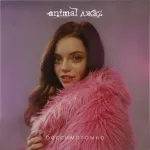 Animal Джаz - Бессимптомно