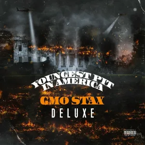 GMO Stax feat. Babyface Ray, Peezy - Can't Save Niggas