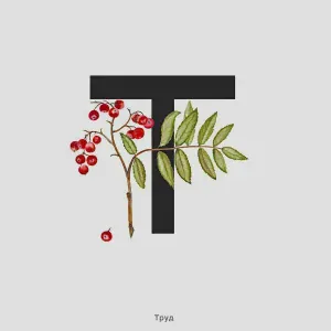 Труд - Поцелуй