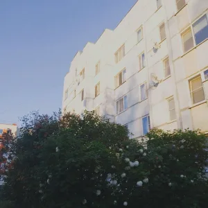 эустома - Я боюсь дожить до понедельника