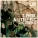 t-Zhuk - A Little Bit