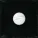 Sad Night Dynamite - Crying Over Nothing